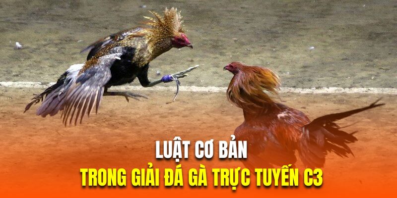 Luật cơ bản trong giải trực tiếp đá gà C3