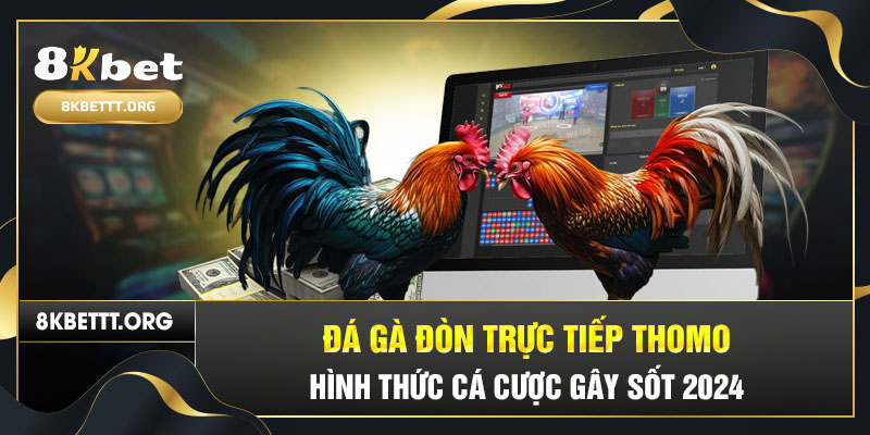 Đá Gà Đòn Trực Tiếp Thomo