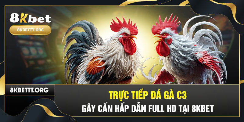 Trực Tiếp Đá Gà C3